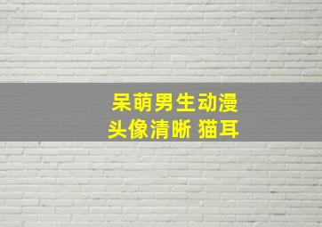 呆萌男生动漫头像清晰 猫耳